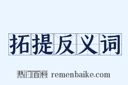 拓提反义词是什么意思的图片